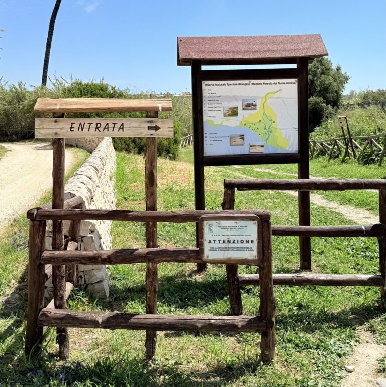 Alla Scoperta dell'Oasi Naturale del Fiume Irminio: Un Viaggio tra Natura, Storia e Meraviglia