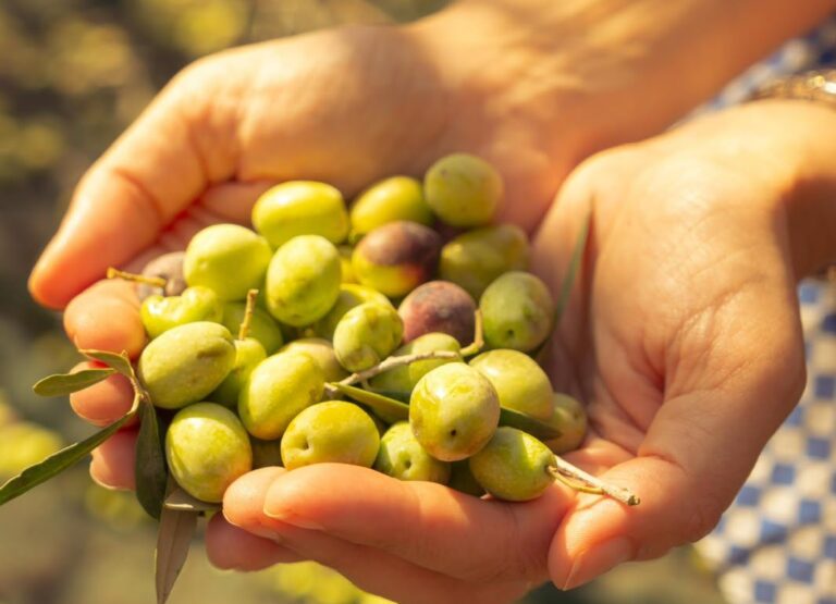 Ottobre in Sicilia: il fascino del glamping, la raccolta delle olive e il piacere di rallentare